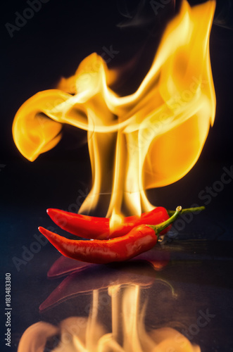 chili pepper red on fire, burning pepper, hot pepper, on a red and black background