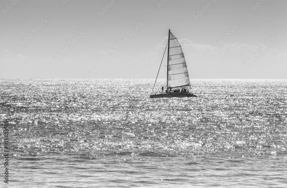 catamaran en mer, noir et blanc 