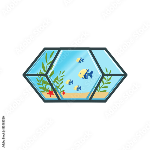 Geometric aquarium with little fishes  sand  sea stars and green algae. Sea creatures. Domestic animals. Flat vector icon for aqua cleaning company