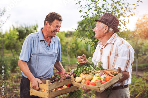 Senior men with harvested vegetables in the garden