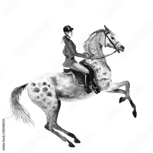 Horseback rider and rearing dapple grey horse. Black and white monochrome watercolor or ink hand drawing illustration. Horseman girl on stallion. England equestrian sport traditional hunting style.