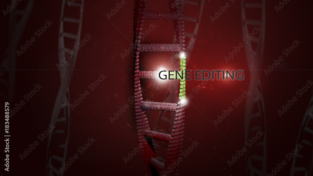 DNA gene editing composing with letters
