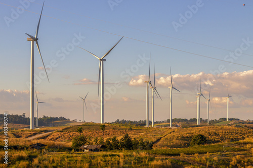 Beautiful sunset above the windmills on the field