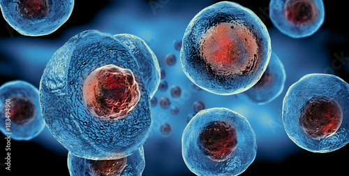Embryonic stem cells , Cellular therapy  photo