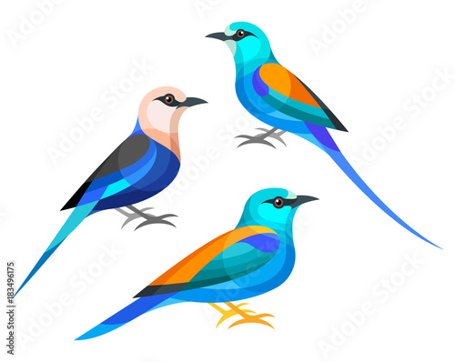 Stylized Birds - Abyssinian, Blue-bellied , European Roller © Egret77