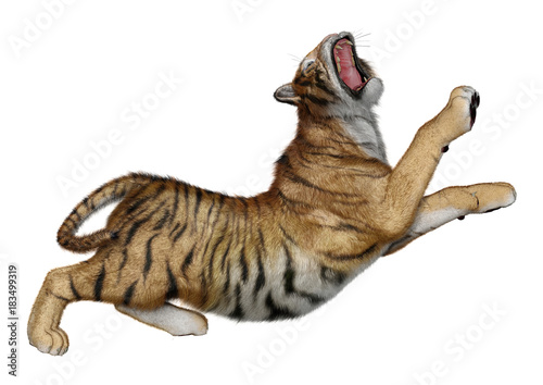 Fototapeta Naklejka Na Ścianę i Meble -  3D Rendering Big Cat Tiger on White