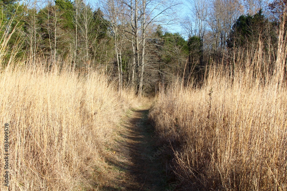 Obraz premium The tall grass prairie trail on a sunny autumn day.