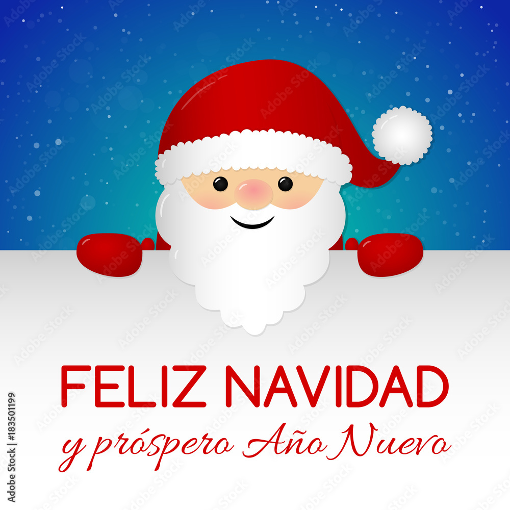 Feliz Navidad - Merry Christmas in Spanish. Concept of Christmas card with decoration. Vector. Feliz Navidad - Merry Christmas in Spanish. Concept of Christmas card with decoration. Vector.