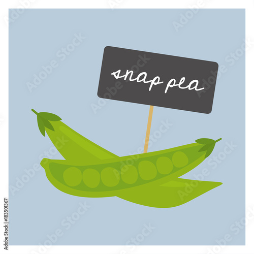 Vector Vegetable - Snap pea