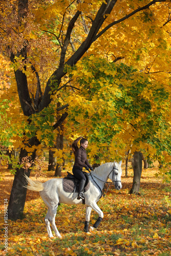 Pretty model riding on white arabian horse in autumn woods 