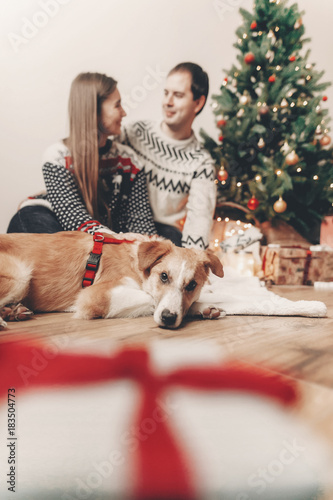 happy family in stylish sweaters and cute dog at christmas tree with lights and gifts. atmospheric festive moments. merry christmas and happy new year concept. space for text.