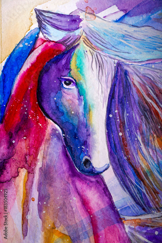 Beautiful colorful horse painted in watercolor on a white canvas