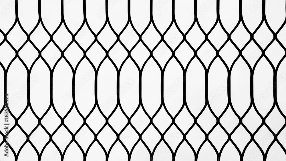 Fototapeta premium silhouette of metal cage at the door