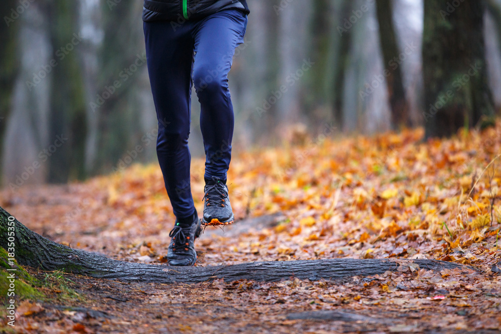 Fototapeta premium Autumn trail running background. Man running in fall park