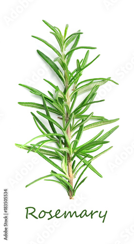 Twig of rosemary.