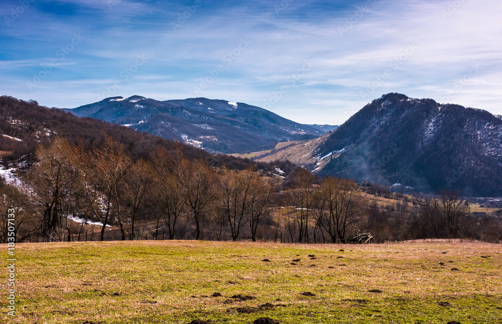 grassy field on an slope in springtime. lovely countryside landscape in Carpathian mountainous area grassy field on an slope in springtime. lovely countryside landscape in Carpathian mountainous area