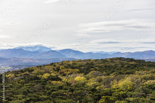 green forest and mountains landscape 