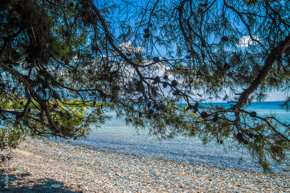 Fototapeta premium beautiful wild beach in Greece
