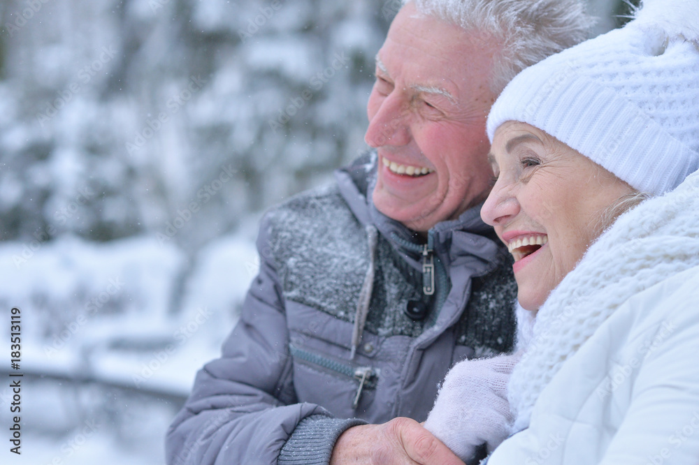 senior couple at winter outdoors senior couple at winter outdoors