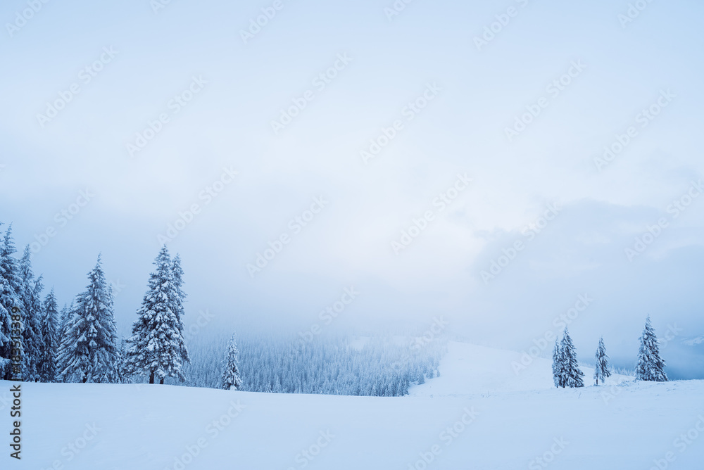 Winter landscape with fog in the mountains Winter landscape with fog in the mountains