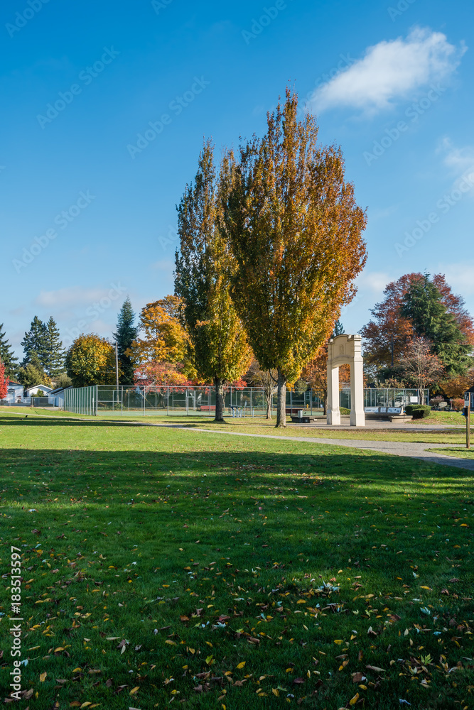 City Park In Autumn 3