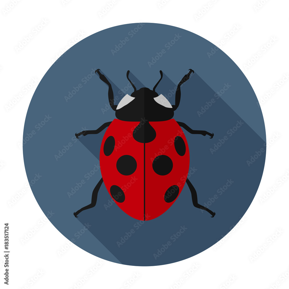 Fototapeta premium Ladybug icon flat