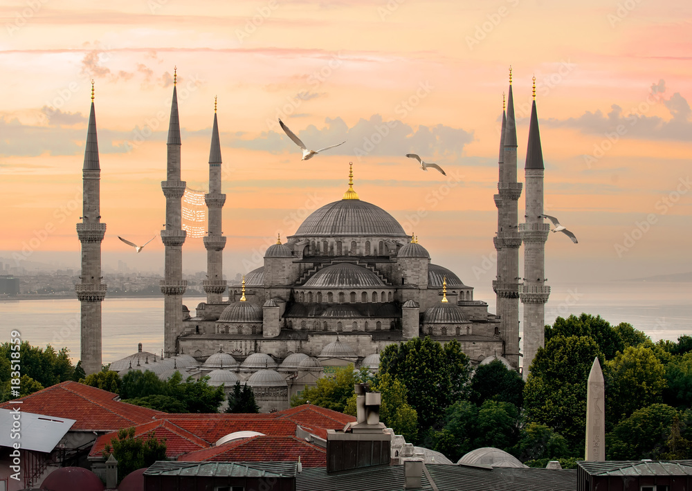 Fototapeta premium Blue Mosque and Bosphorus