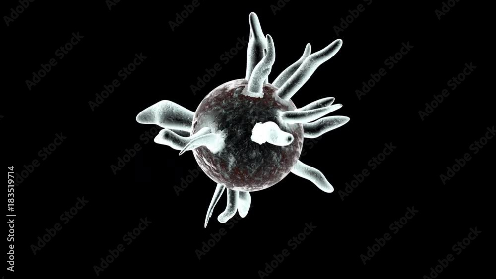 3D rendered animation of a Virus isolated on black.
3D rendered animation of a Virus isolated on black.