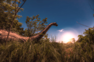 Poster Dinosaurus Dinosaurus in hoog gras bij zonsopgang  © zaschnaus