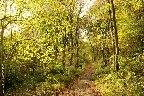 An image of a hiking trail in the English Peak District.
