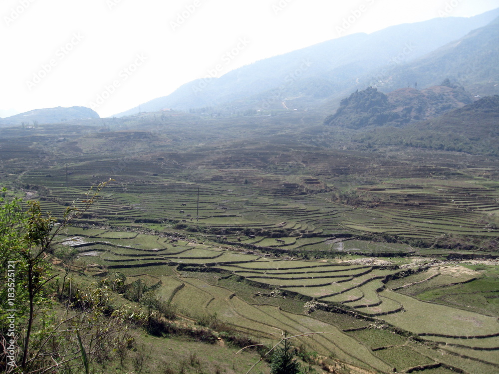 Valley and rice fields in Sapa, Vietnam