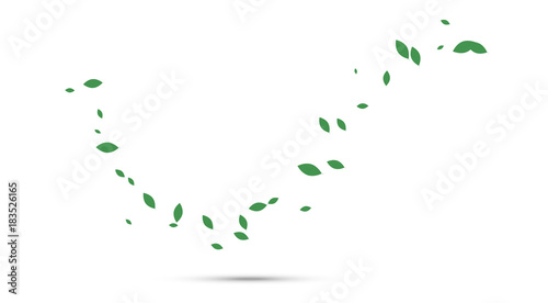 sfondo natura, foglie, primavera