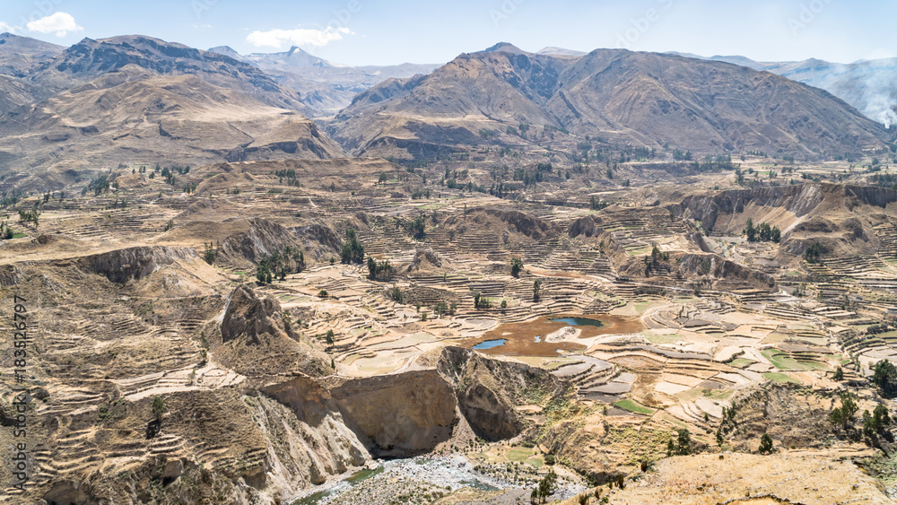 Panoramic view of Colca Canyon, Peru, South America with farming terraces
