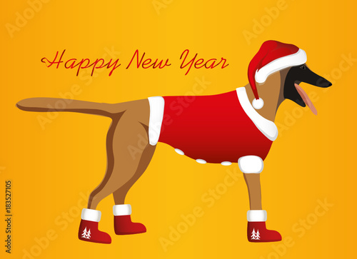 A dog in a New Year costume and a Santa Claus hat. Belgian Sheph