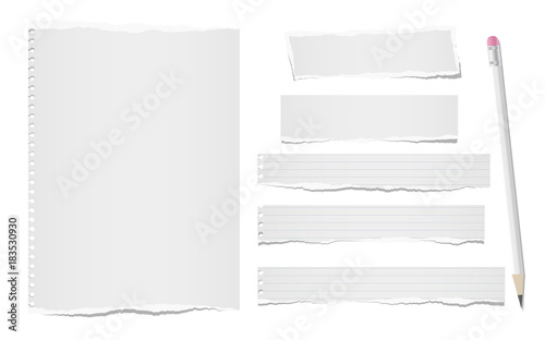Ripped, note, notebook paper sheets for text or message stuck on white background with pencil