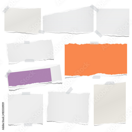 Ripped lined and blank note, notebook paper sheets for text or message stuck with sticky tape on white background