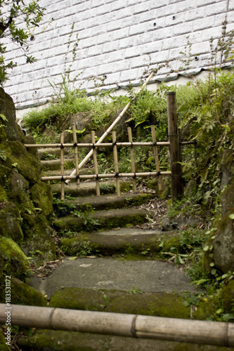 Moss area with fence