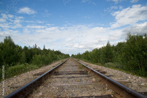 Railway track through the wild Taiga, Sweden photo