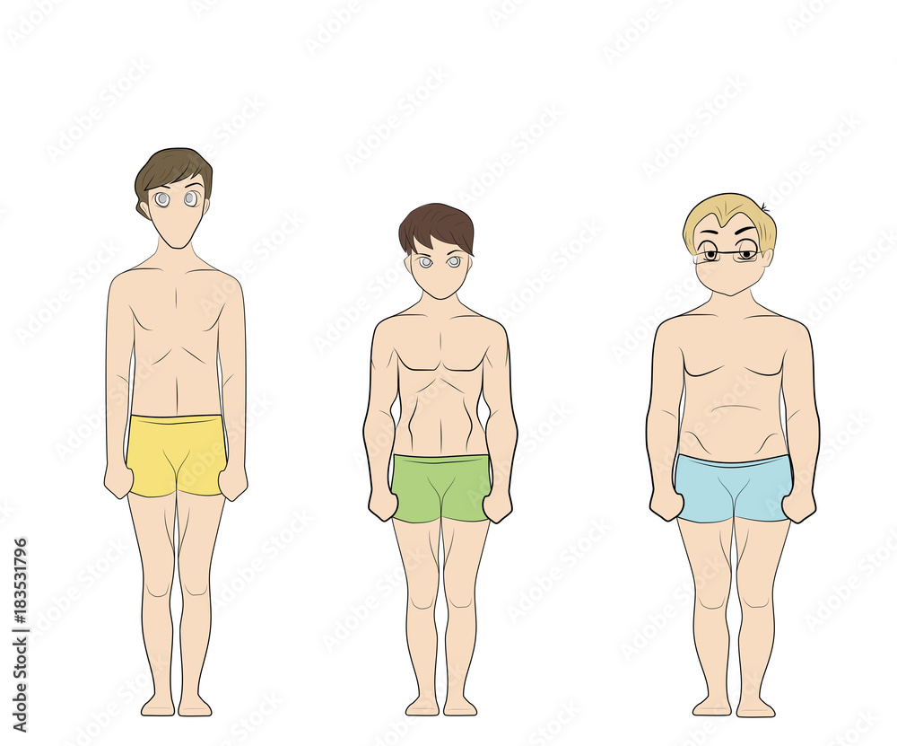 Male body types: Ectomorph, Mesomorph and Endomorph. Skinny, muscular and  fat bodytypes. Fitness and health illustration. Stock Vector | Adobe Stock