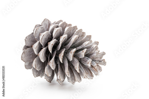 Christmas pine cone on white background.