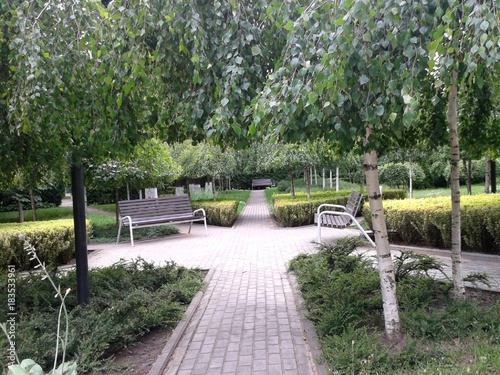 Paths in the park