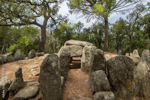 Large Prehistoric burial site or Dolmen surrounded by an oak tree forest