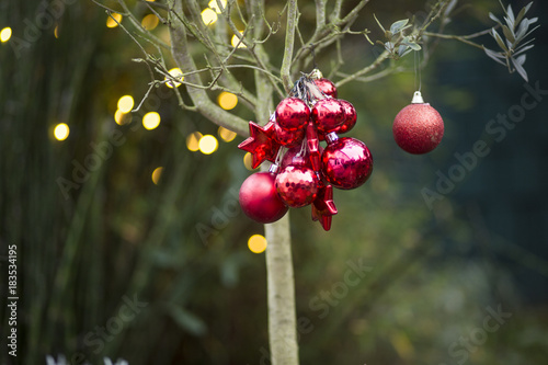 Christbaumkugeln, Baumschmuck und Lichterketten zu Weihnachten im Garten