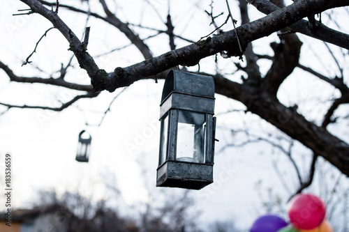 Candle Holder at a tree at the backyard