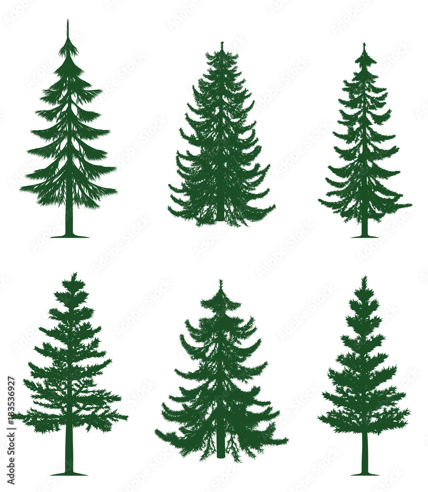 Green pine trees collection