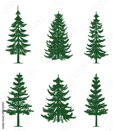 Green pine trees collection