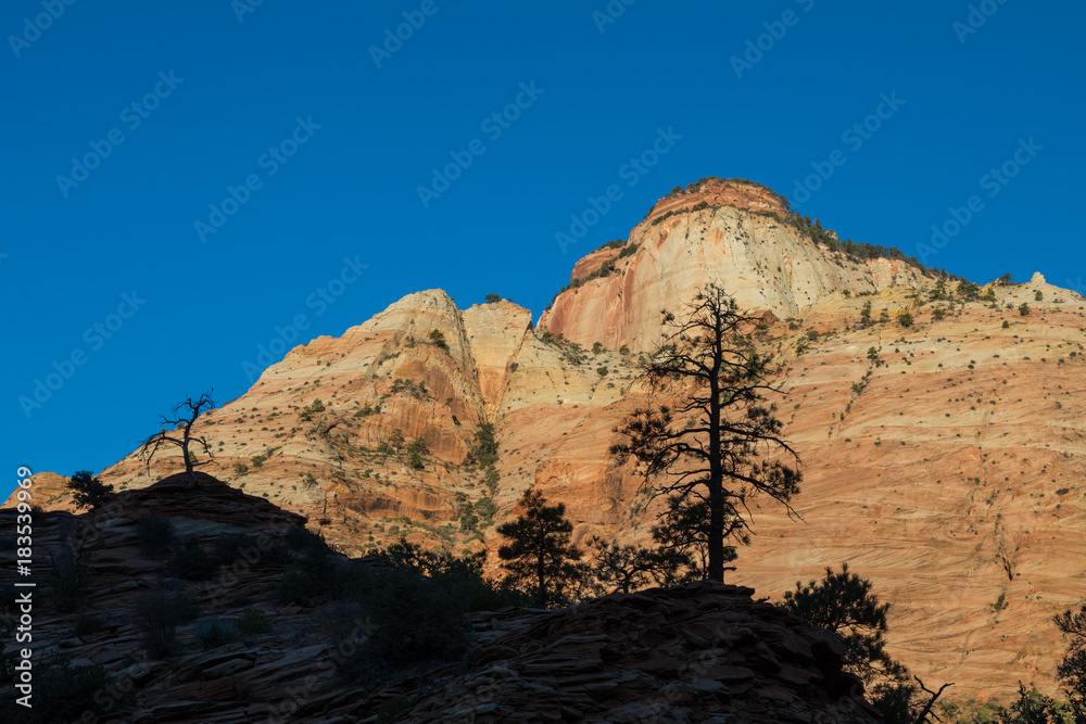 Zion National Park 
Sunrsie Landscape