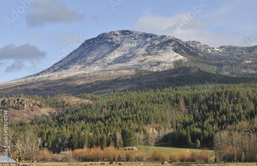 Mt. Ida Mountain near Salmon Arm BC