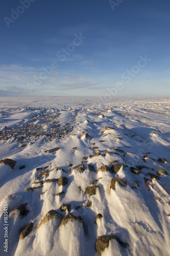 Frozen arctic landscape with snow on the ground photo