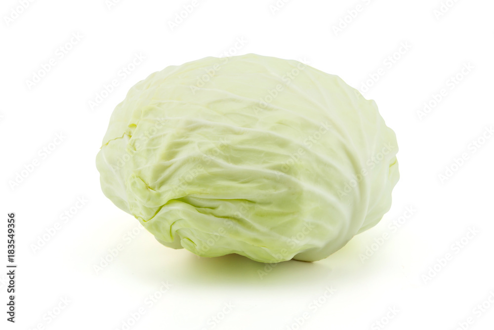 cabbage on white background cabbage on white background